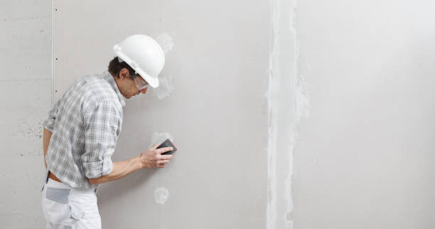 Best Commercial Mold Inspection  in Sparta, MI