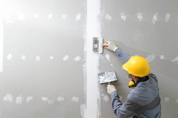 Best Mold Odor Removal Services  in Sparta, MI