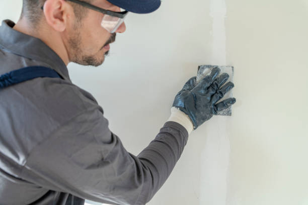 Best Post-Construction Mold Inspection  in Sparta, MI