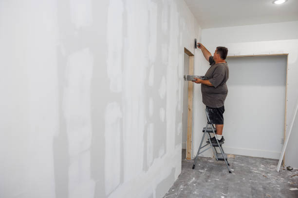 Best Real Estate Mold Inspection  in Sparta, MI