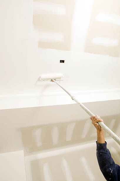 Best Basement Mold Removal  in Sparta, MI