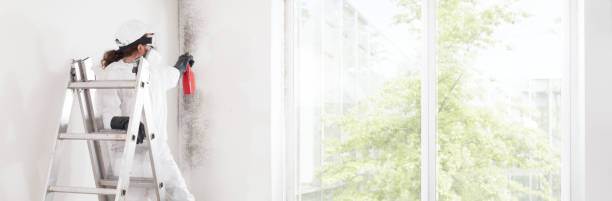 Dehumidification Services in Sparta, MI