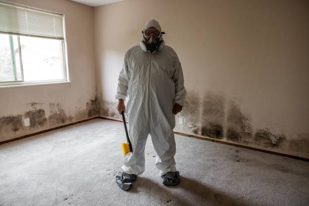 Mold Removal for HVAC Installations in Sparta, MI