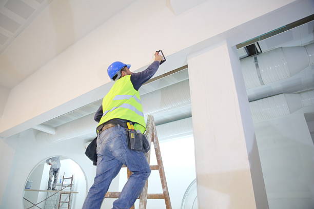 Best Attic Mold Removal  in Sparta, MI