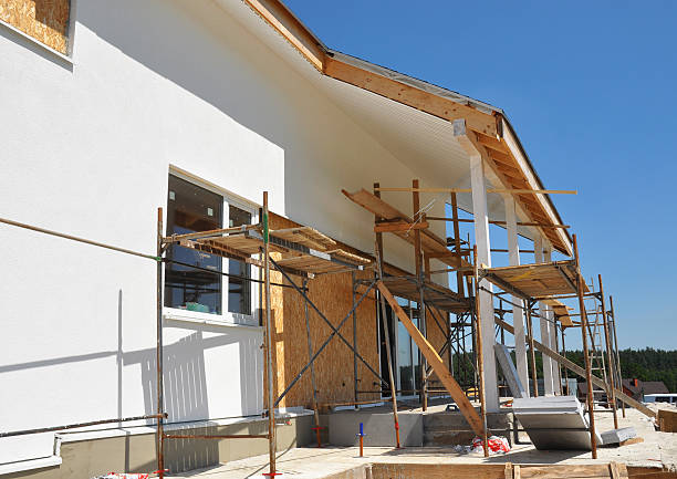 Best Water Damage & Mold Remediation  in Sparta, MI