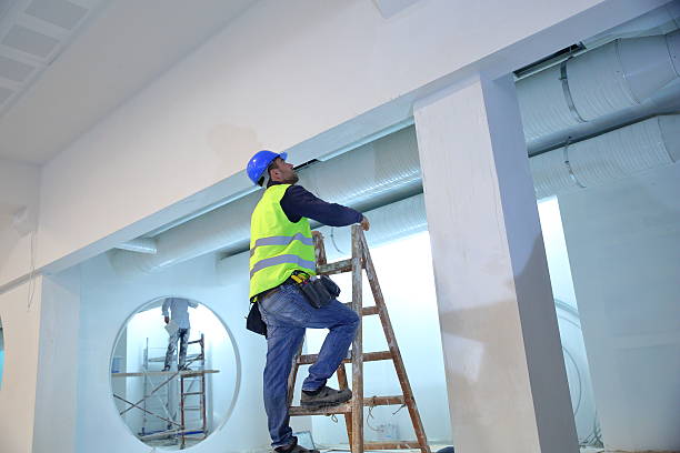 Best Black Mold Removal  in Sparta, MI