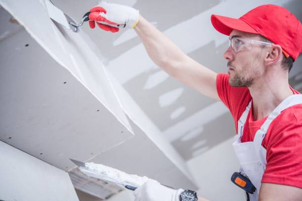 Best Mold Remediation for Healthcare Facilities  in Sparta, MI