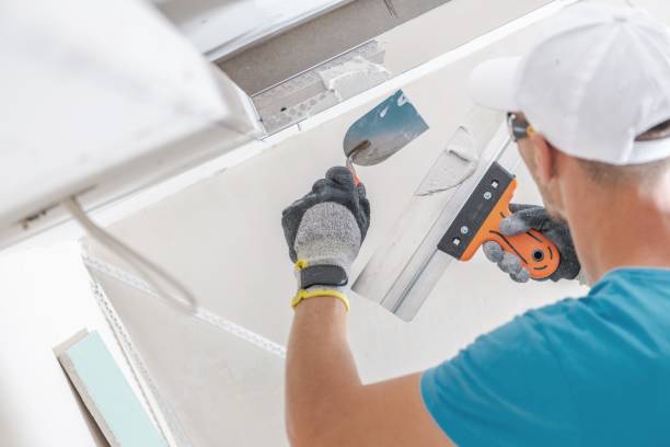 Best Dehumidification Services  in Sparta, MI